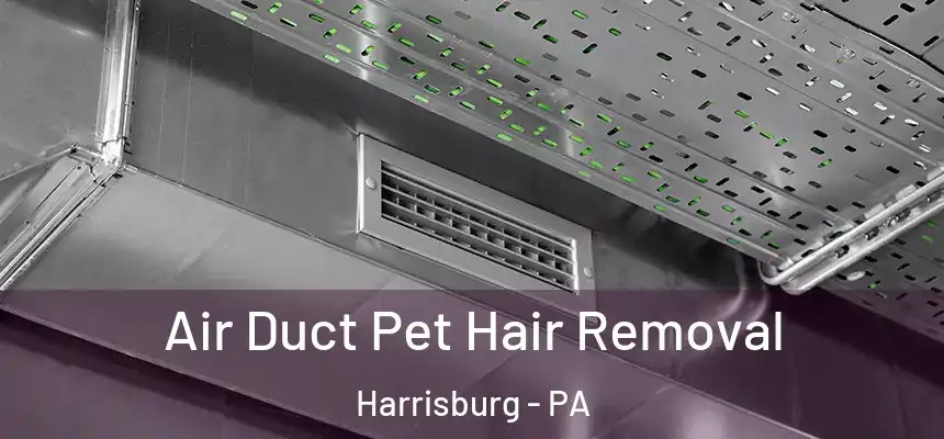 Air Duct Pet Hair Removal Harrisburg - PA