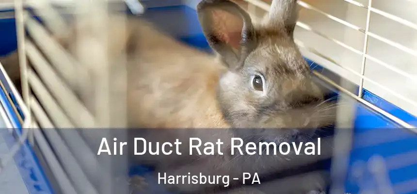 Air Duct Rat Removal Harrisburg - PA