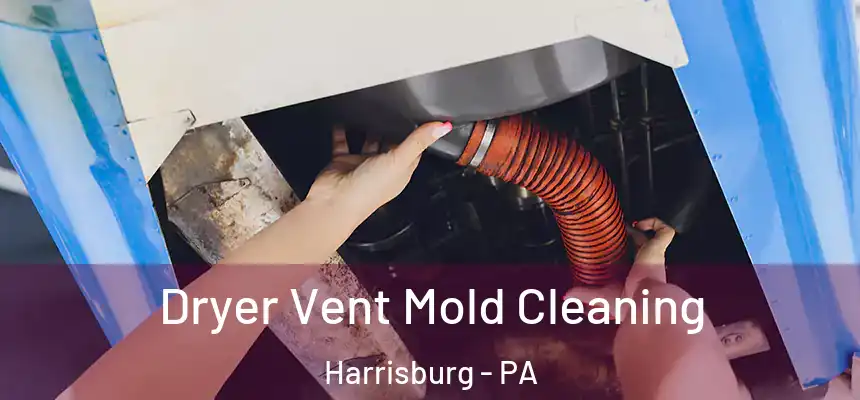 Dryer Vent Mold Cleaning Harrisburg - PA