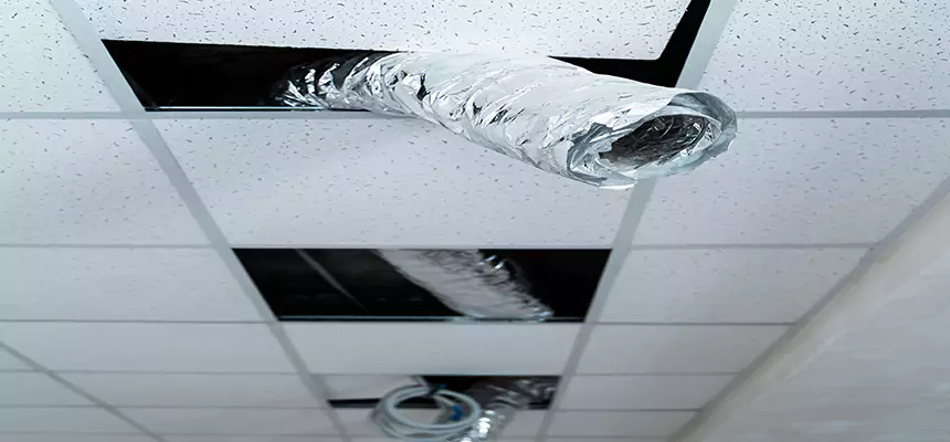 Our Air Duct Pet Hair Removal Services in Harrisburg, PA