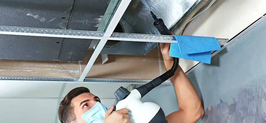 Our Air Duct Rodent Removal Services in Harrisburg, PA