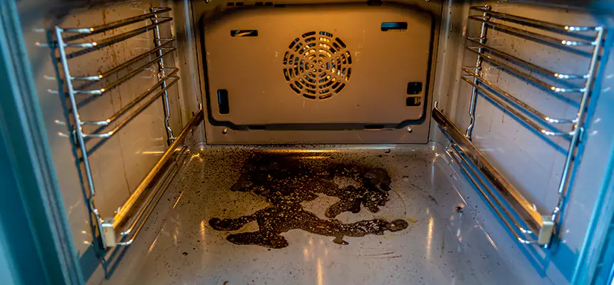 Our Dryer Vent Mold Cleaning Services in Harrisburg, PA