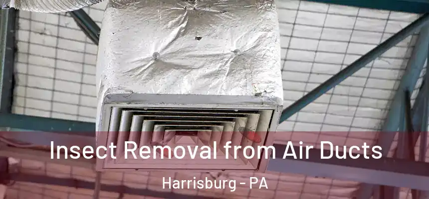  Insect Removal from Air Ducts Harrisburg - PA