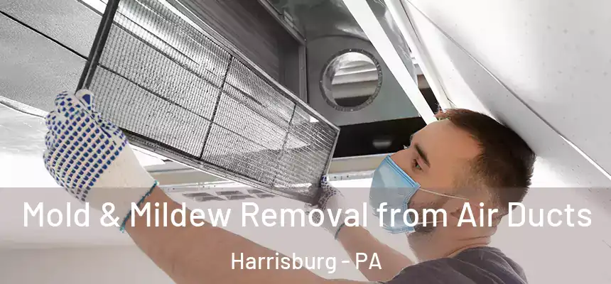  Mold & Mildew Removal from Air Ducts Harrisburg - PA