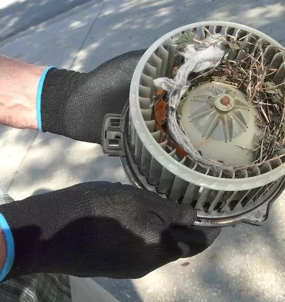 About Air Duct Mice Removal in Harrisburg, PA