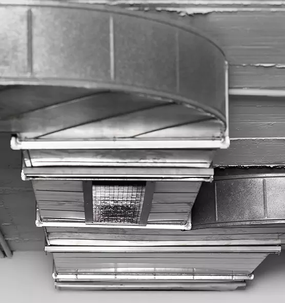 Professional Air Duct Pest Removal in Harrisburg, PA