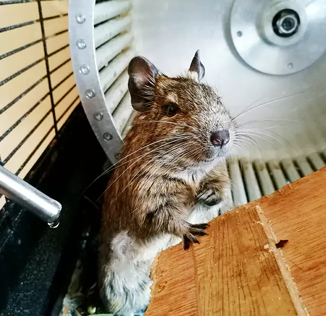 Why Homeowners & Businesses Trust Us Harrisburg, PA